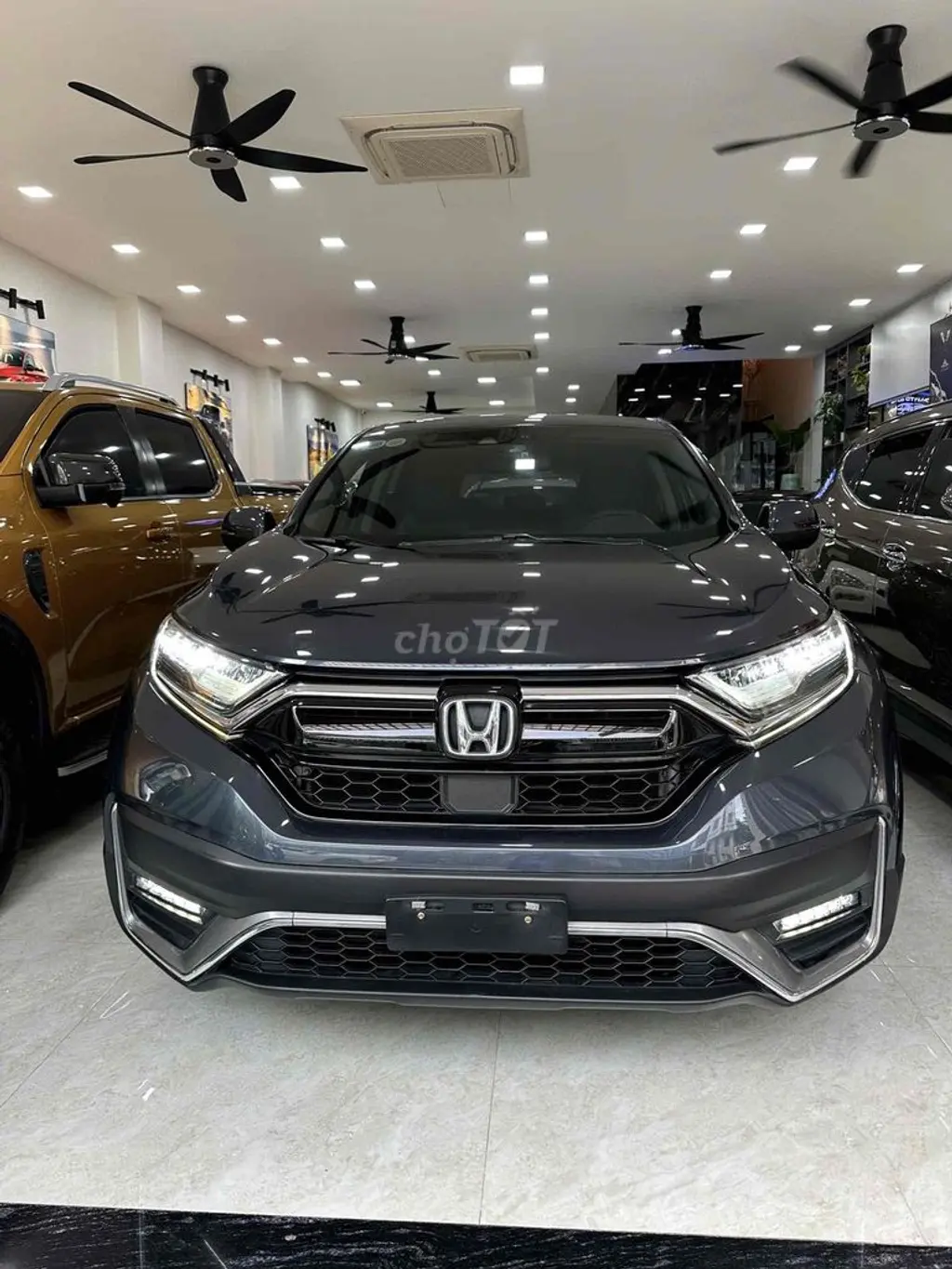 Hình ảnh số 2