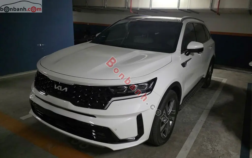 Hình ảnh số 2