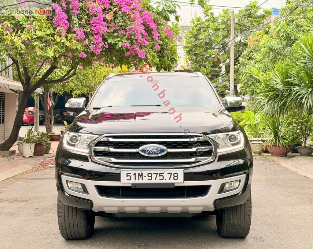 Hình ảnh số 2