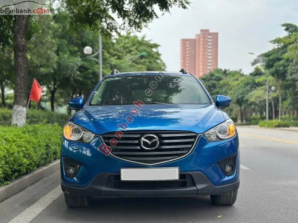 Hình ảnh số 2