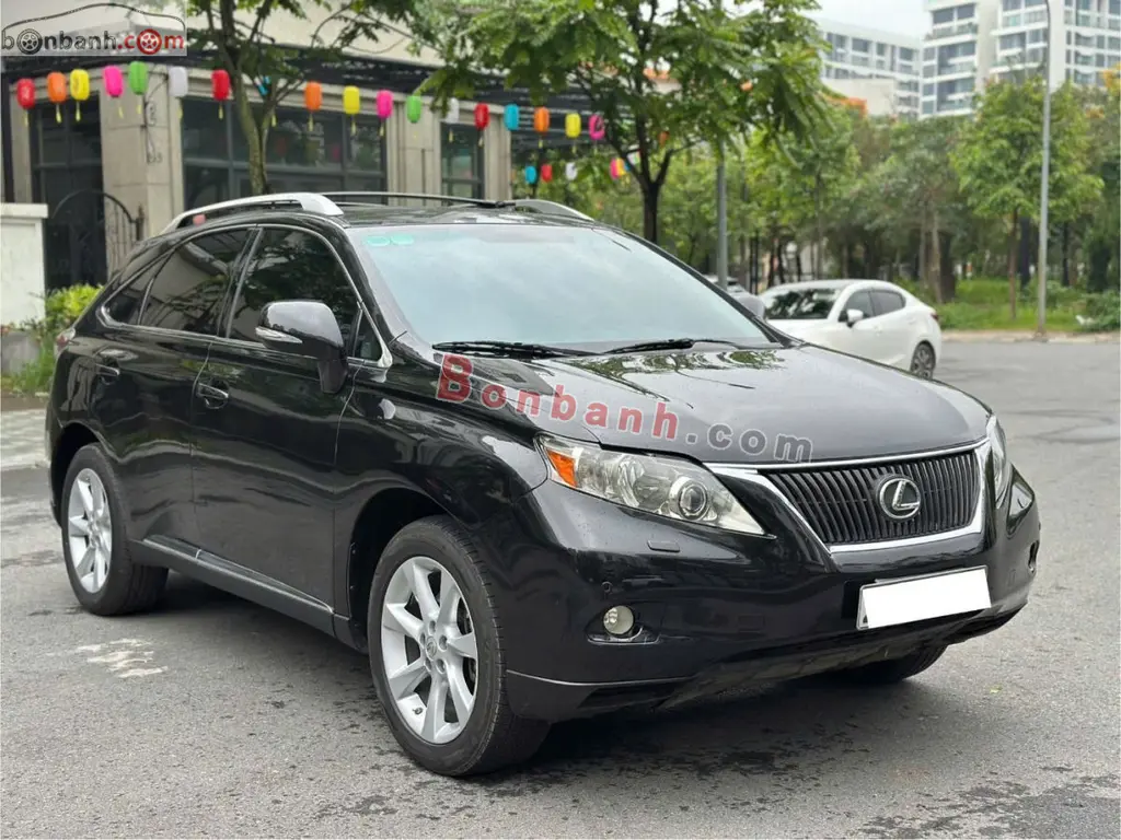 Hình ảnh số 2