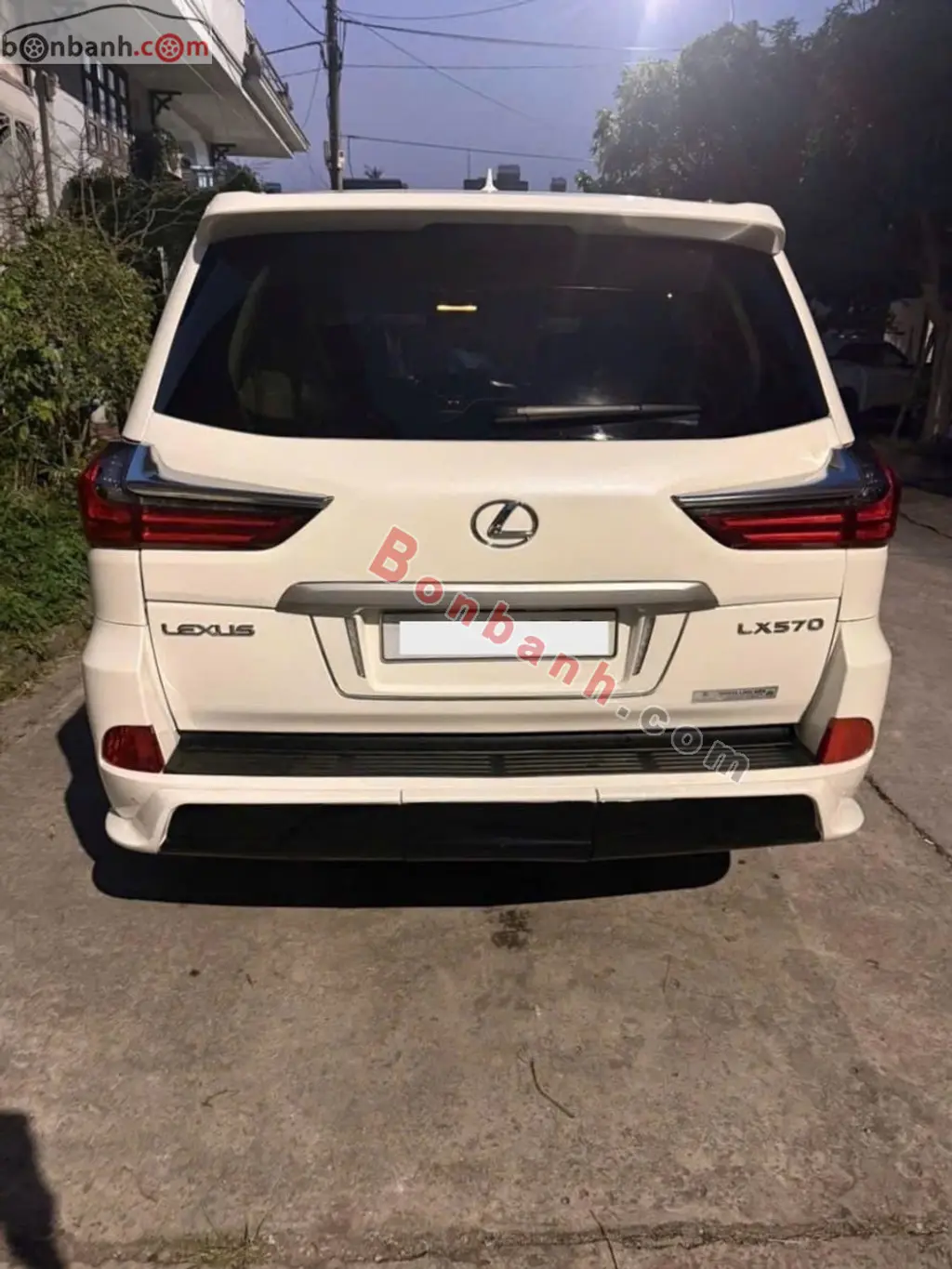 Hình ảnh số 2