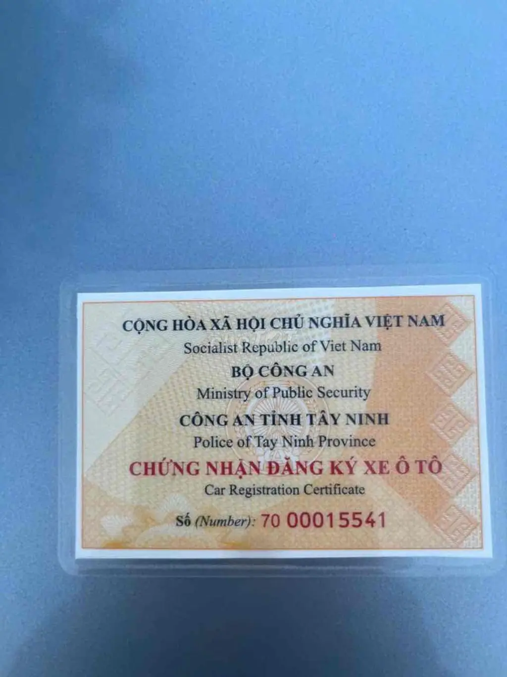 Hình ảnh số 6