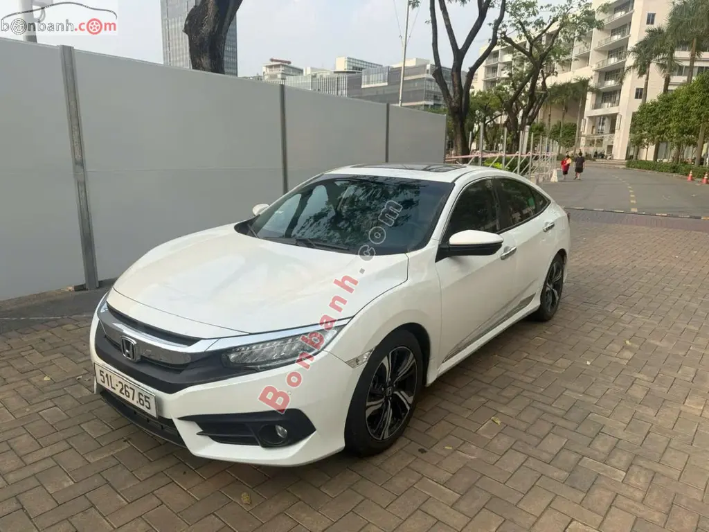 Hình ảnh số 3