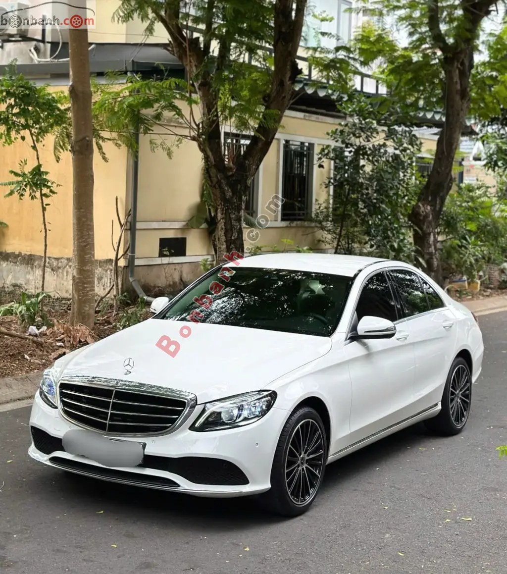 Hình ảnh số 3