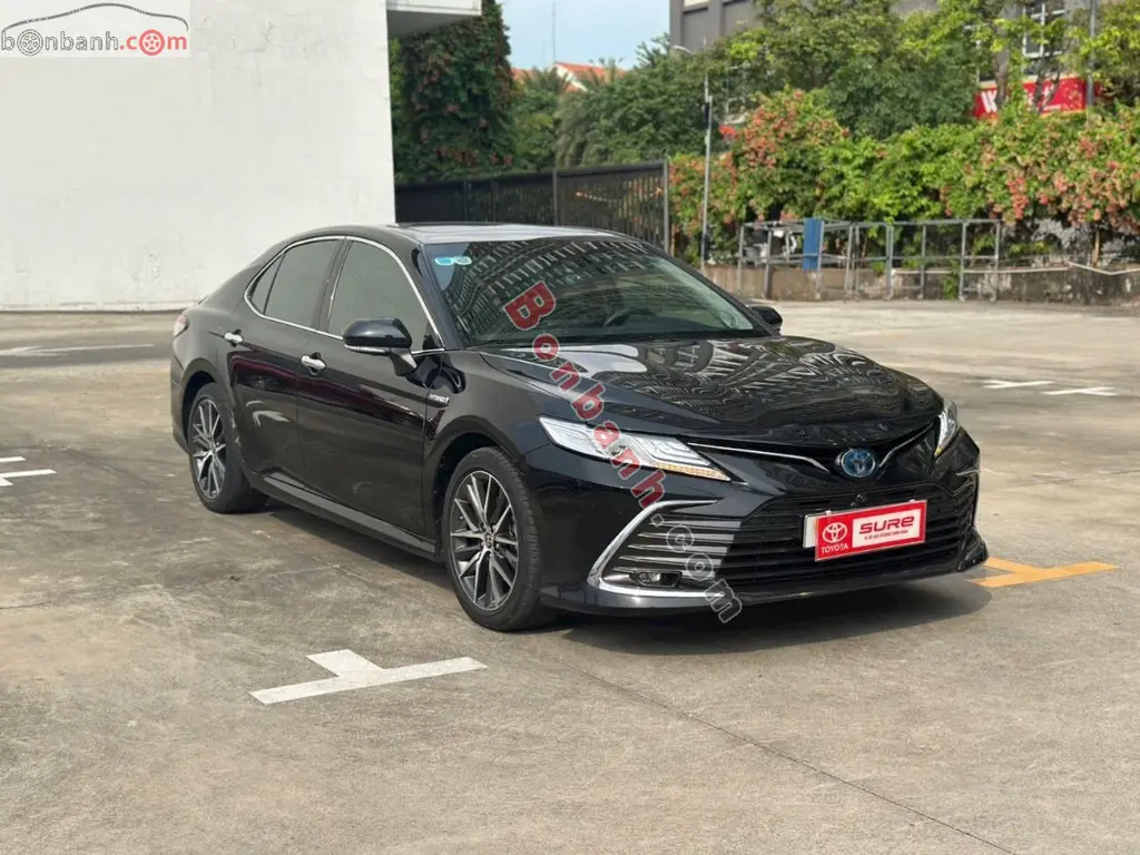Hình ảnh số 3