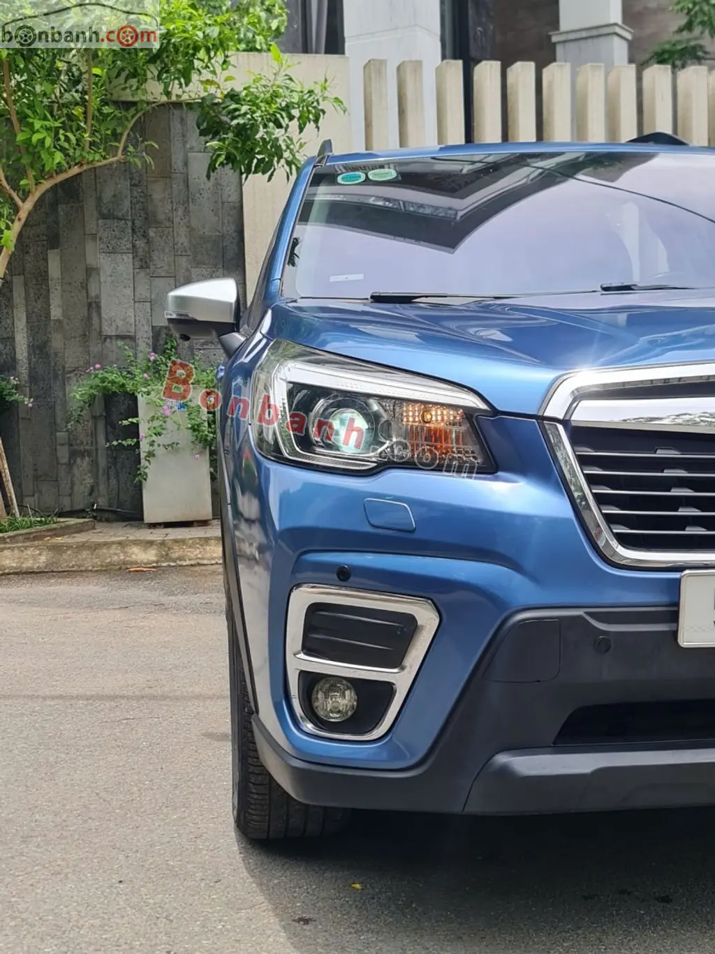 Hình ảnh số 9