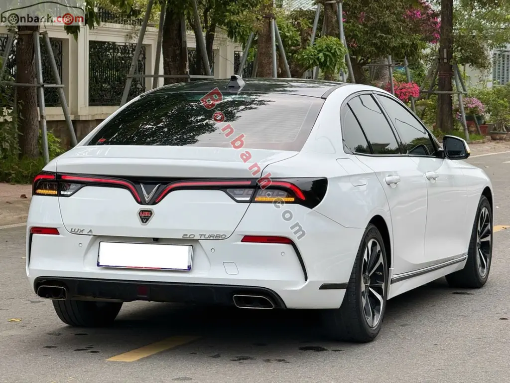 Hình ảnh số 3