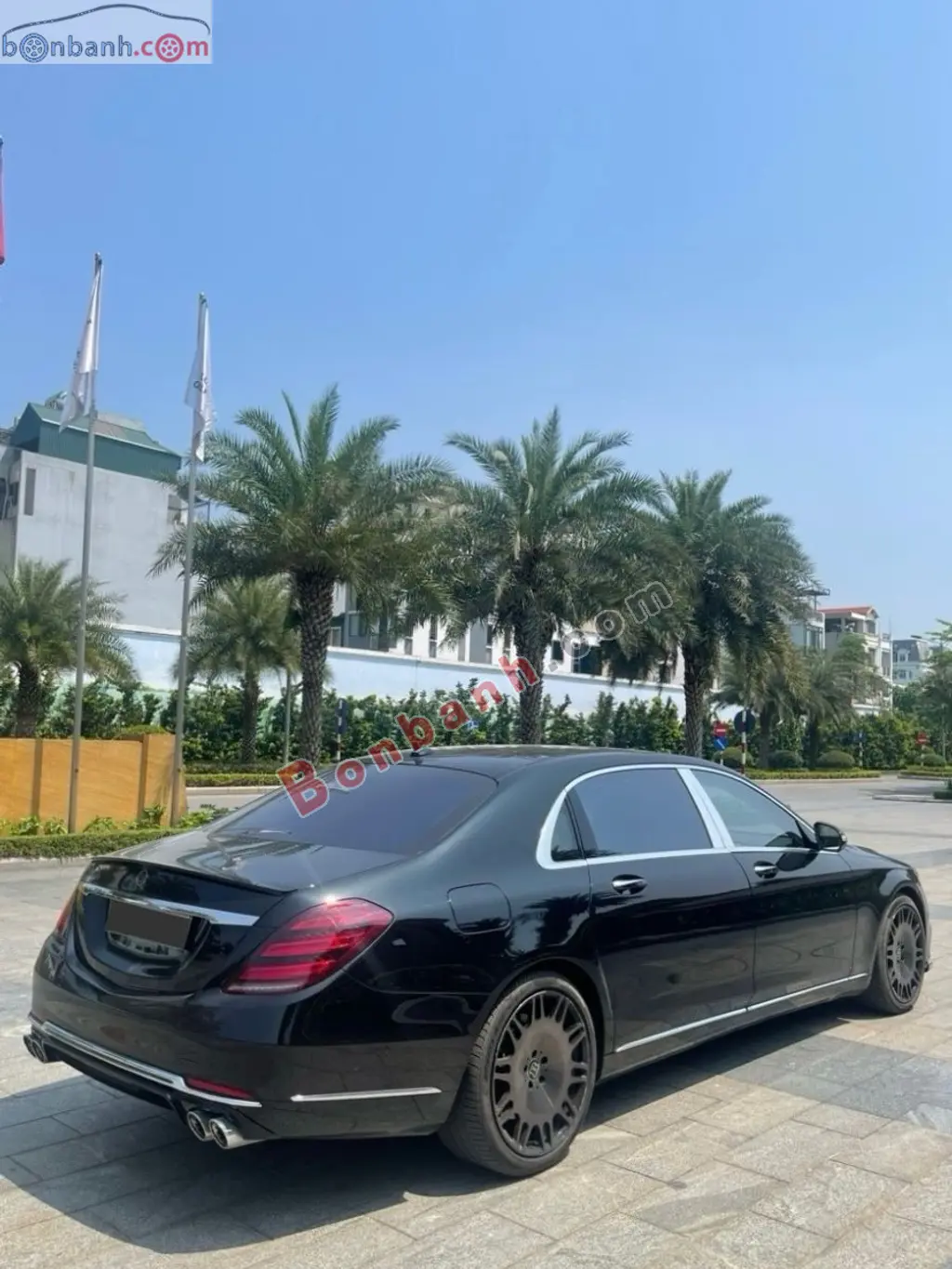 Hình ảnh số 4
