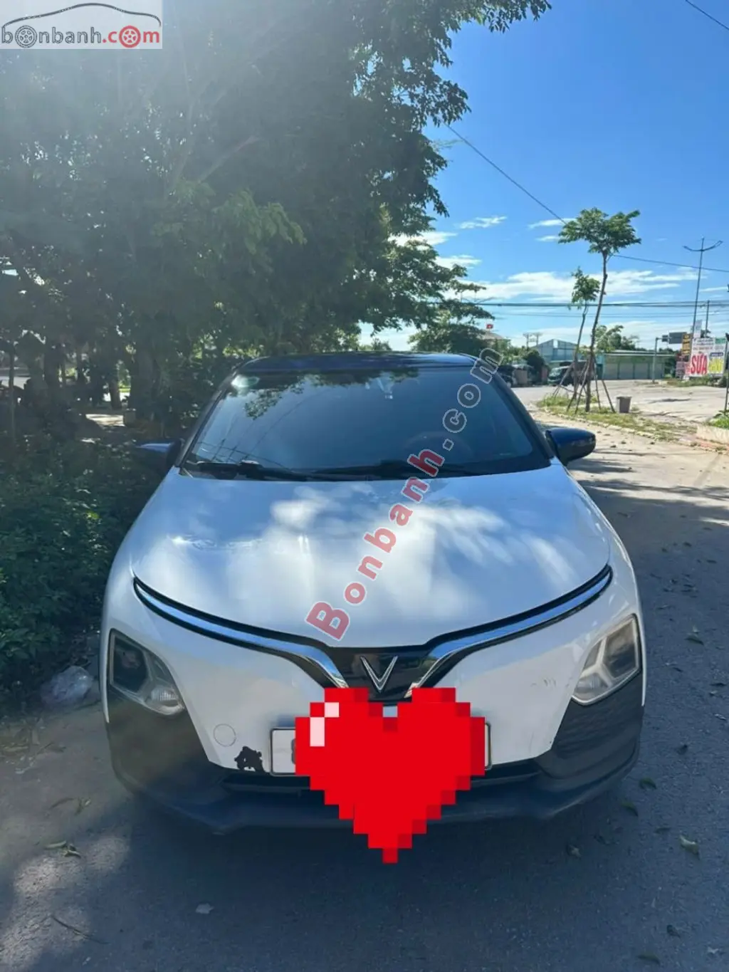 Hình ảnh số 5