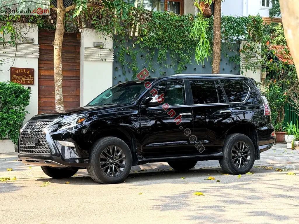 Hình ảnh số 2