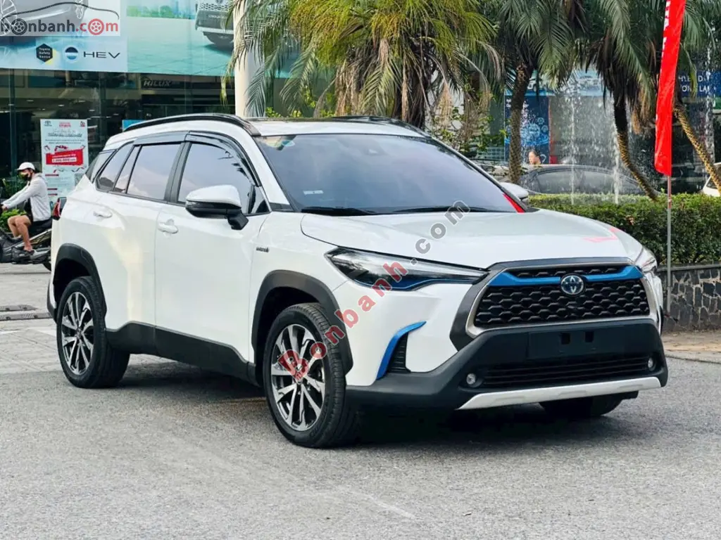 Hình ảnh số 2