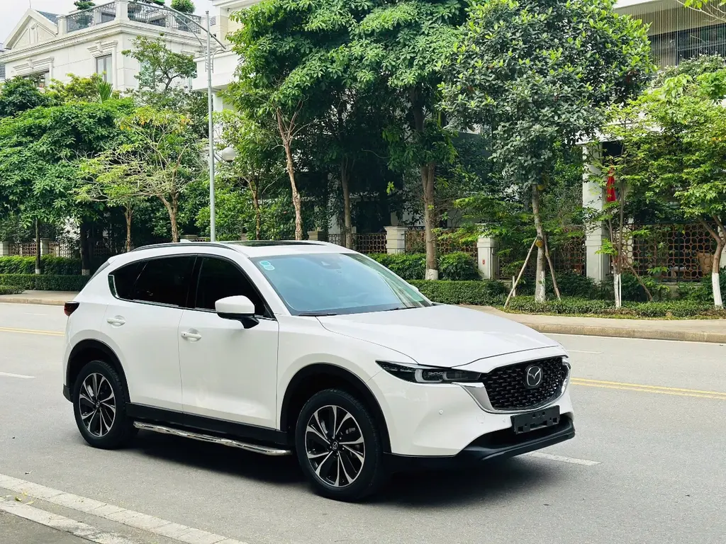 Hình ảnh số 2