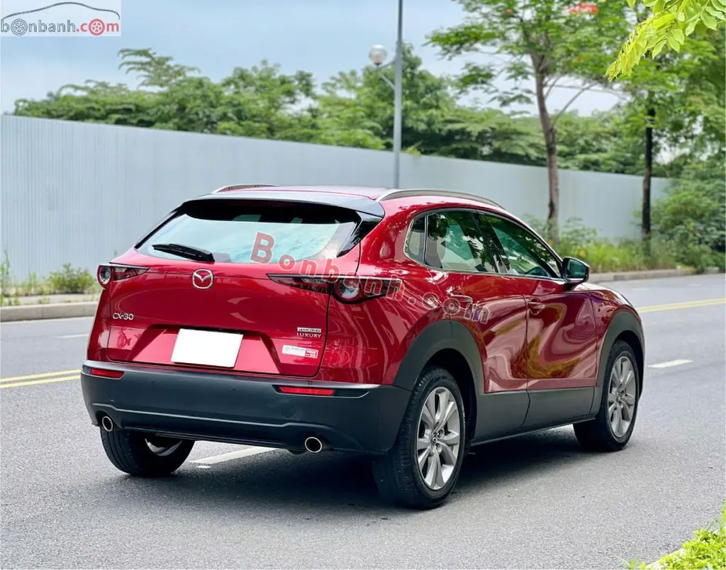 Hình ảnh số 5