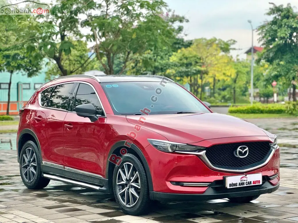 Hình ảnh số 2