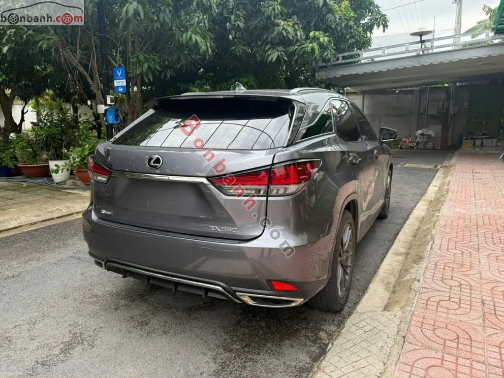 Hình ảnh số 3
