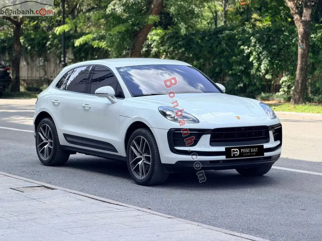 Hình ảnh số 2