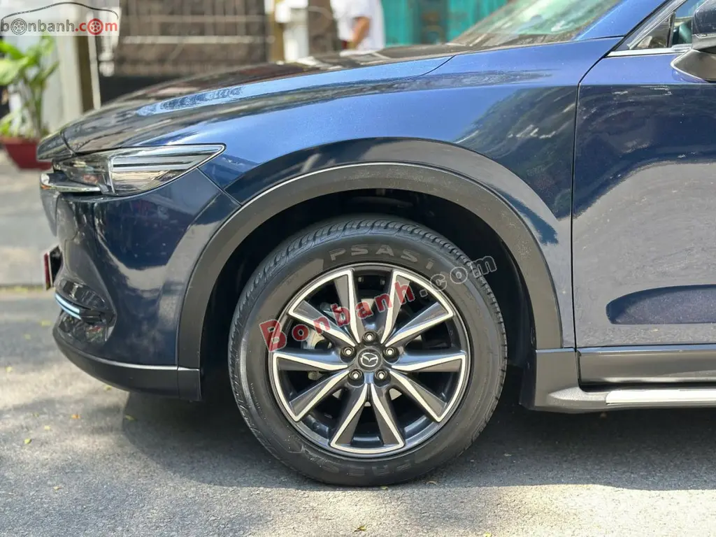 Hình ảnh số 5