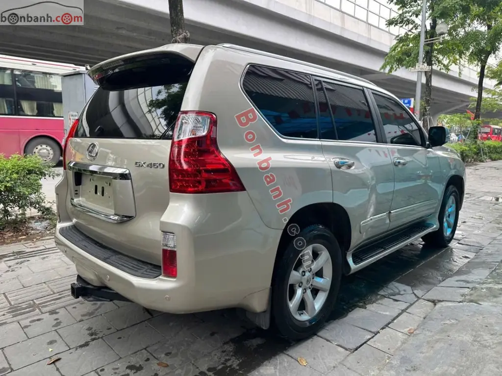 Hình ảnh số 3