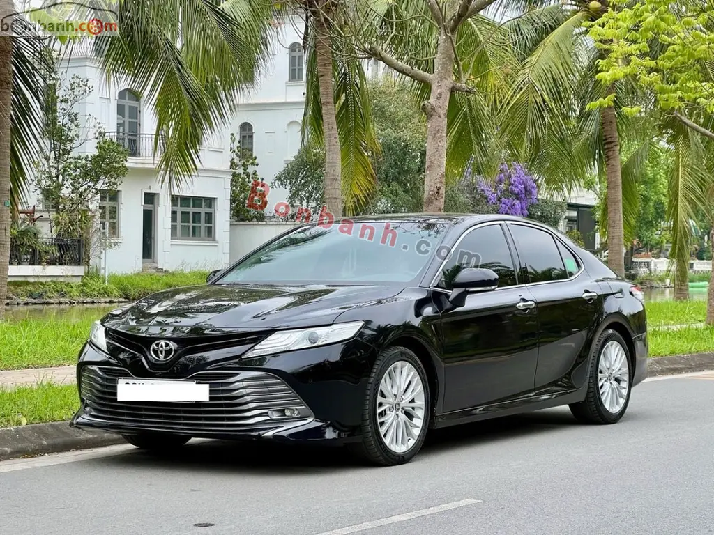 Hình ảnh số 2