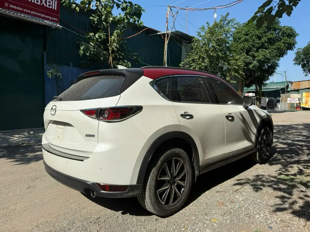 Hình ảnh số 2
