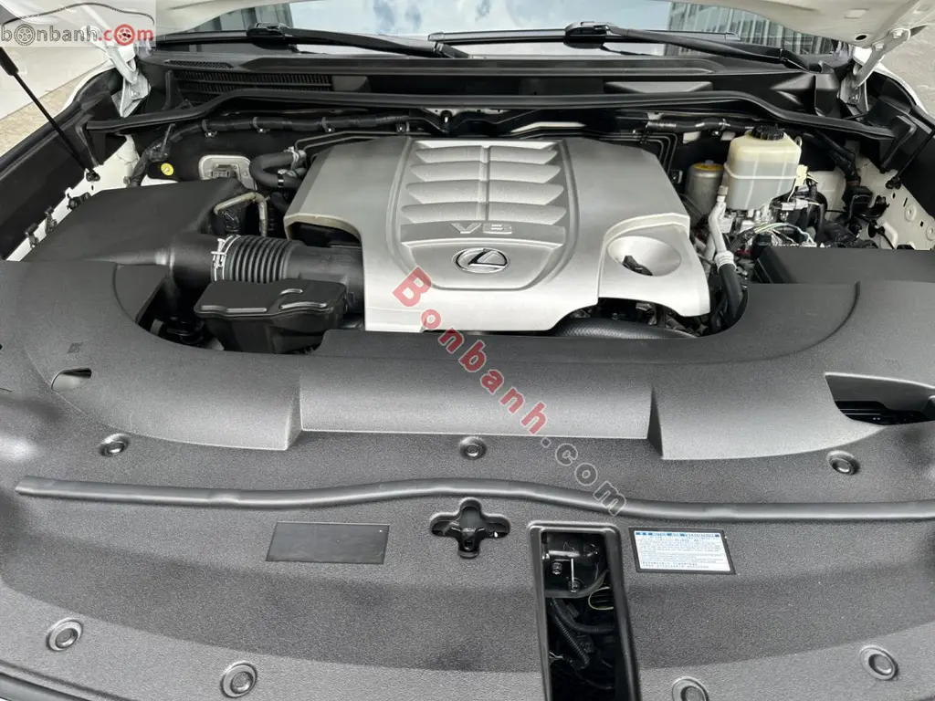 Hình ảnh số 10