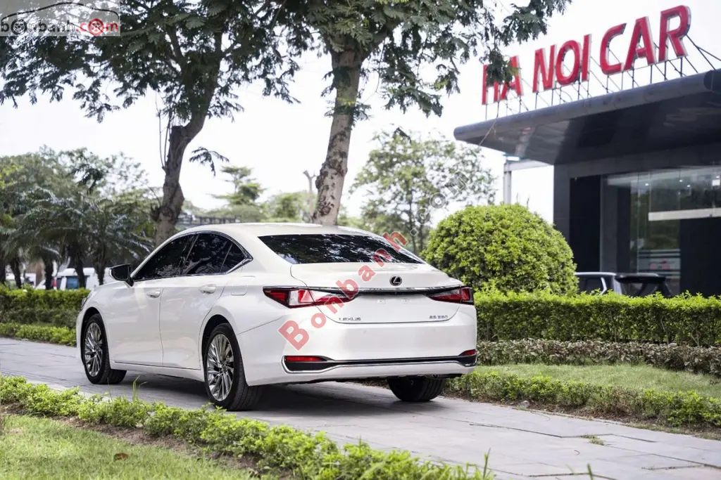 Hình ảnh số 4