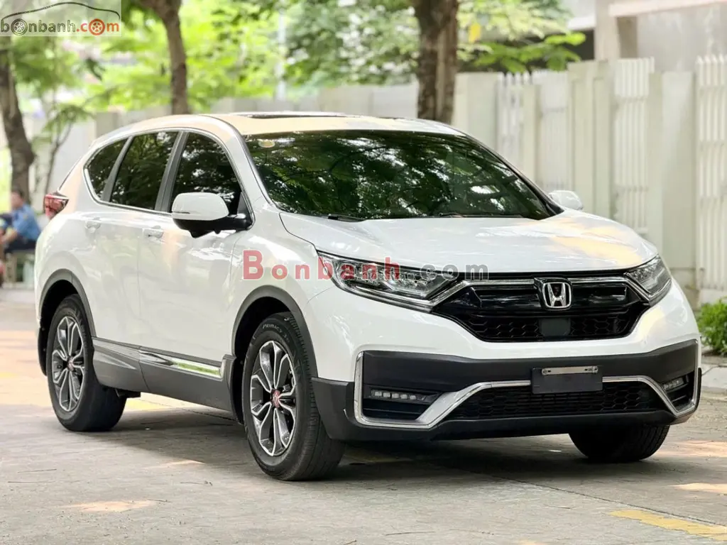 Hình ảnh số 2