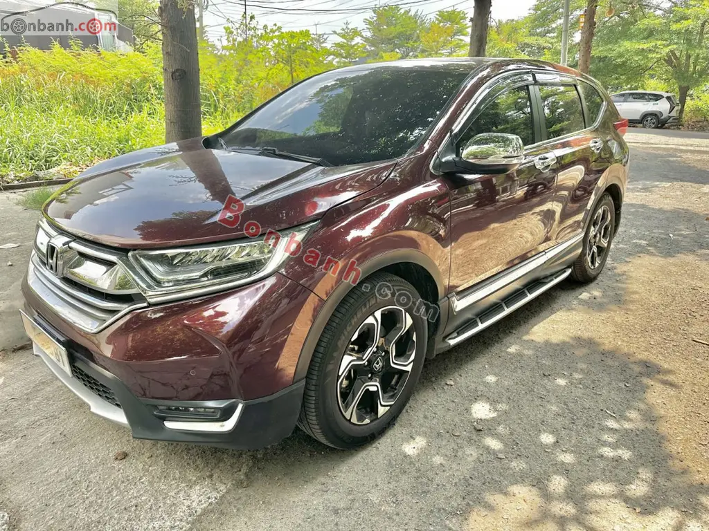 Hình ảnh số 2