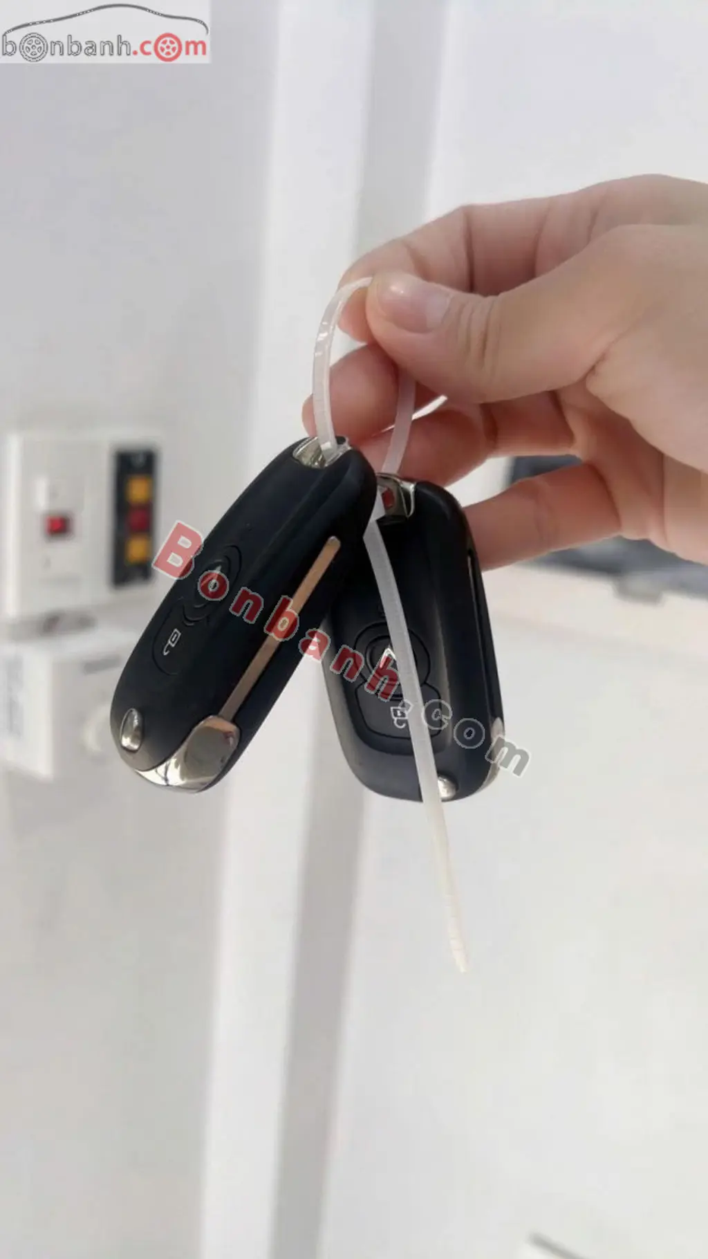 Hình ảnh số 5
