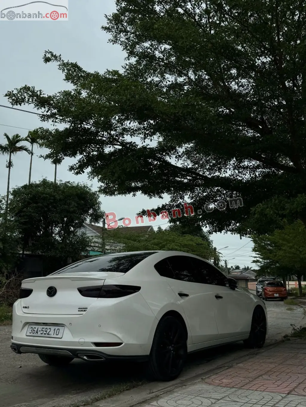 Hình ảnh số 5