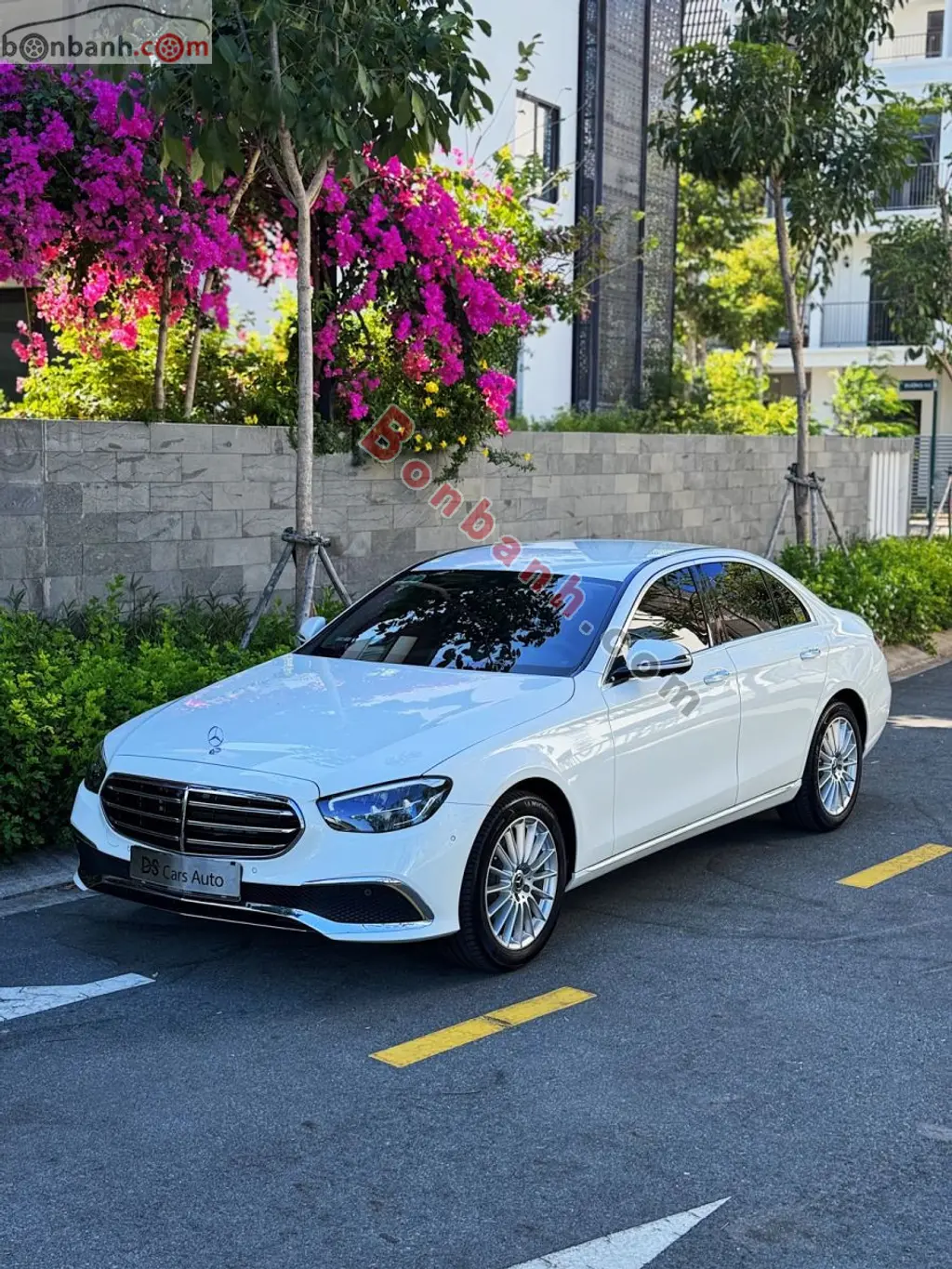 Hình ảnh số 5