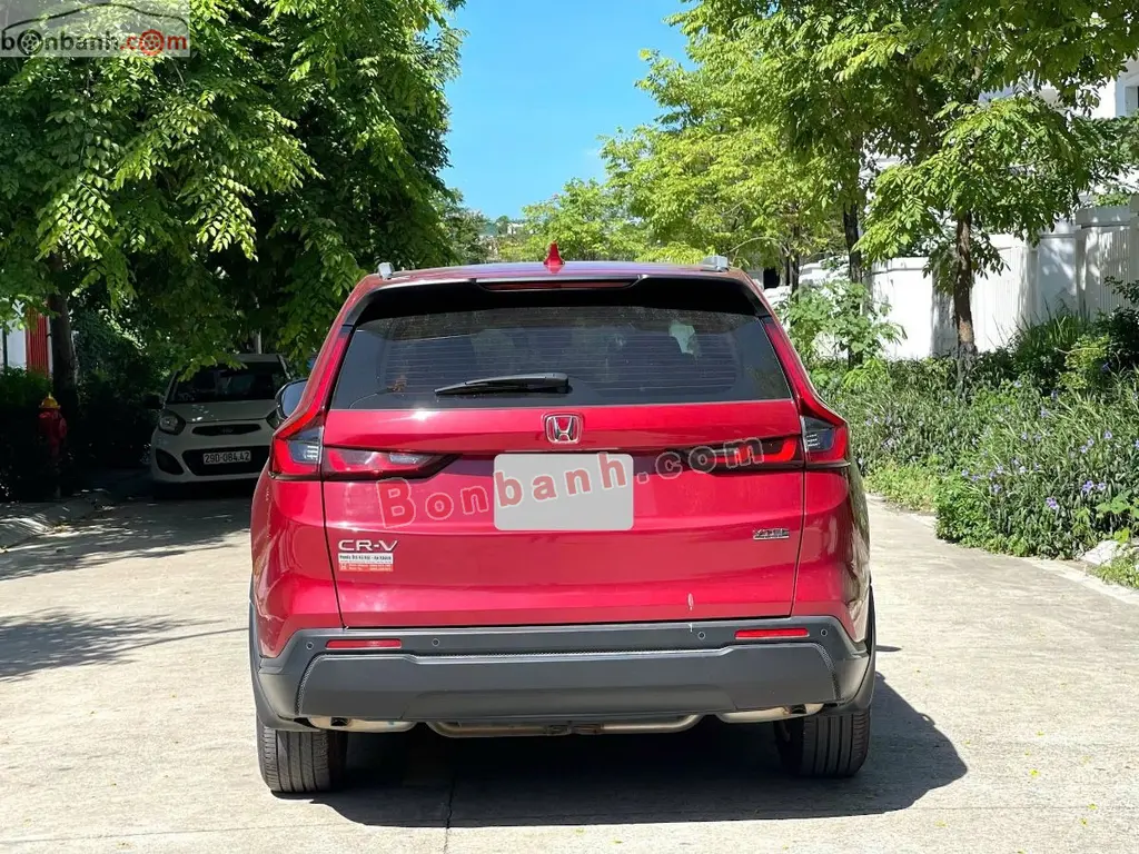 Hình ảnh số 4