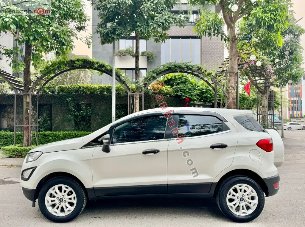Hình ảnh số 2