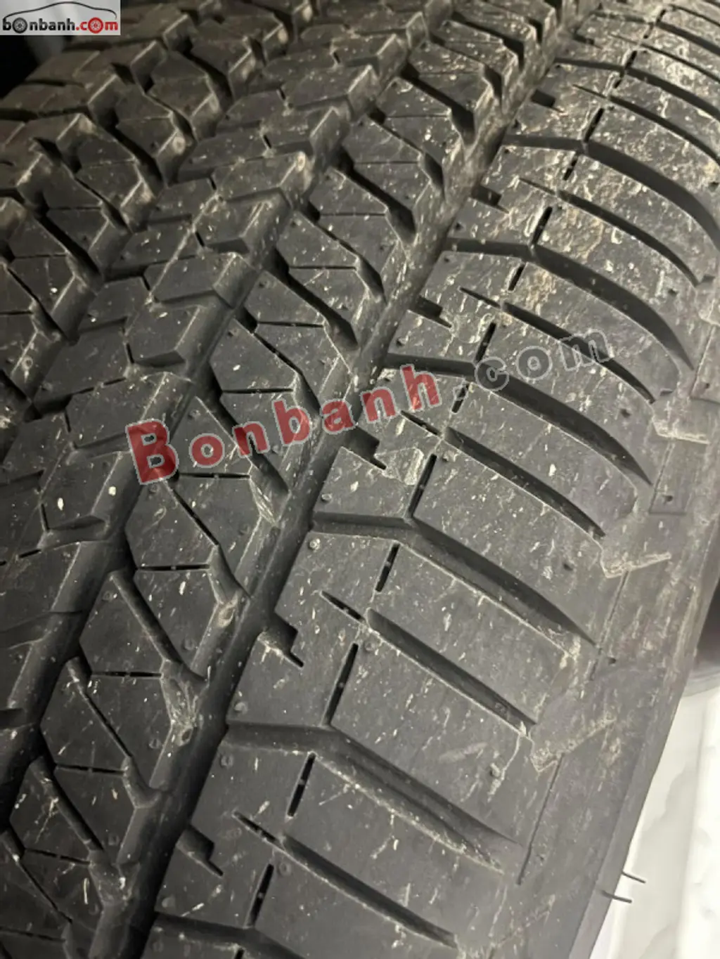 Hình ảnh số 10