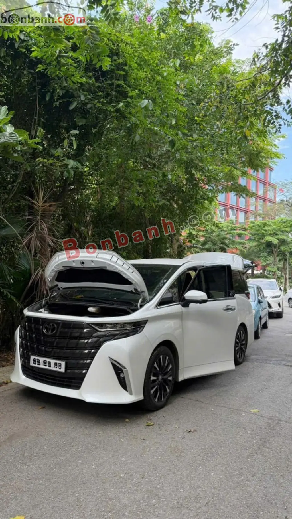 Hình ảnh số 6