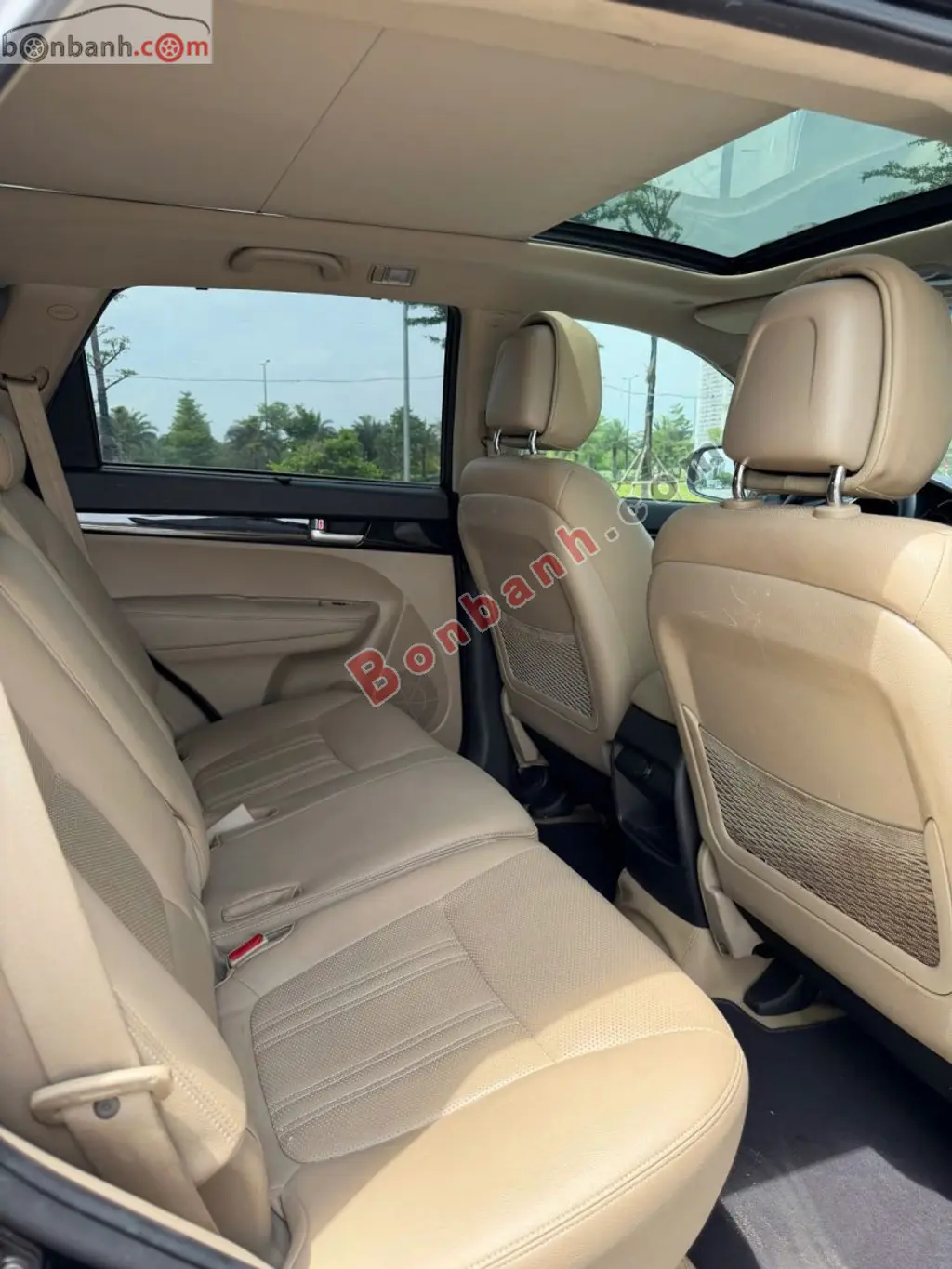 Hình ảnh số 8
