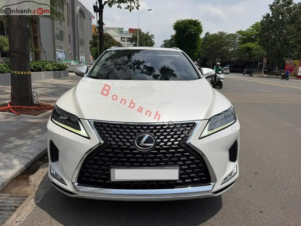 Hình ảnh số 3