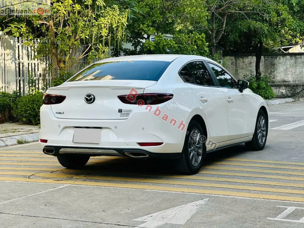 Hình ảnh số 5