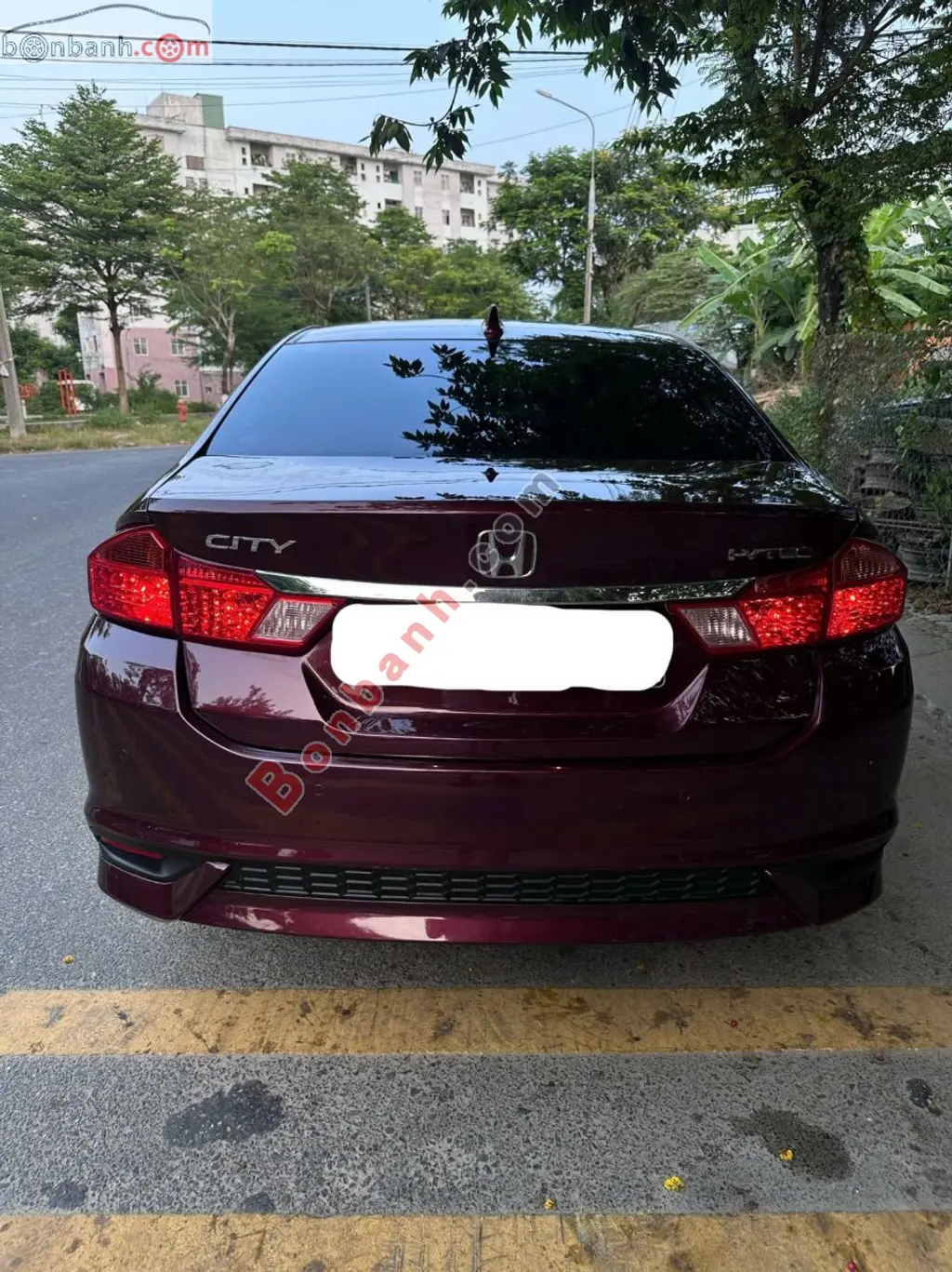 Hình ảnh số 5