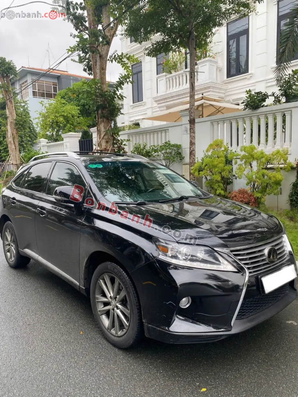 Hình ảnh số 2