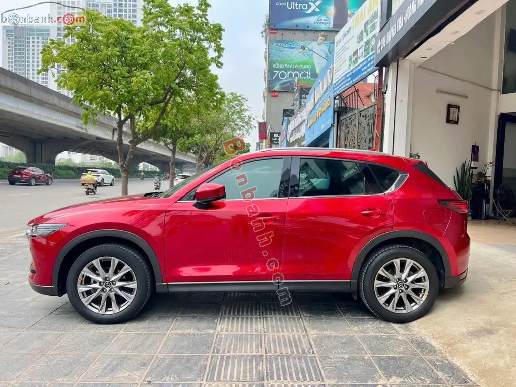 Hình ảnh số 2