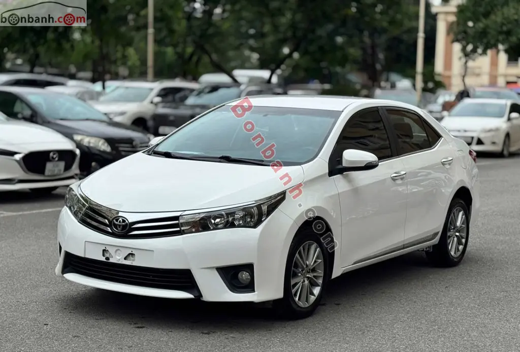 Hình ảnh số 2