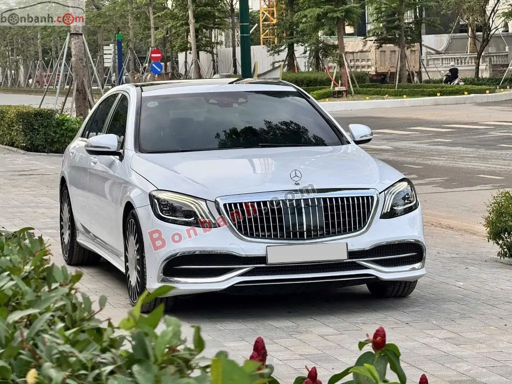 Hình ảnh số 2