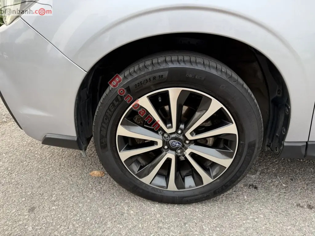 Hình ảnh số 10