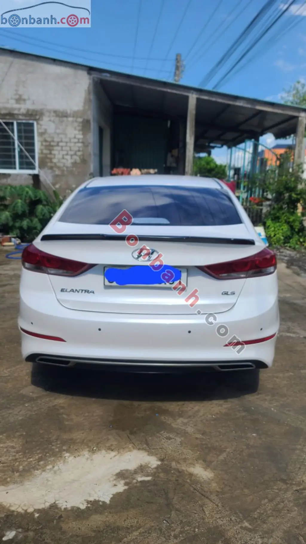 Hình ảnh số 5