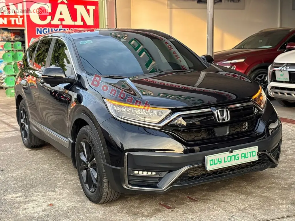 Hình ảnh số 2
