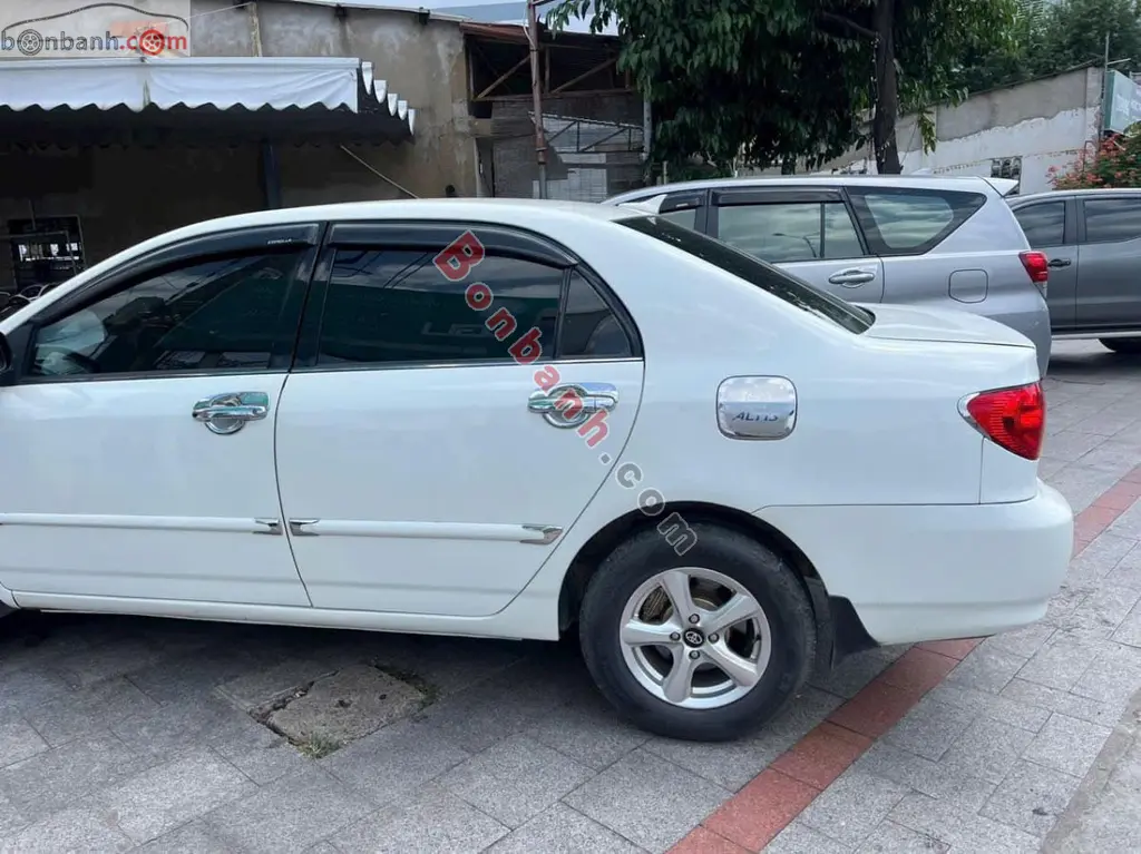 Hình ảnh số 2