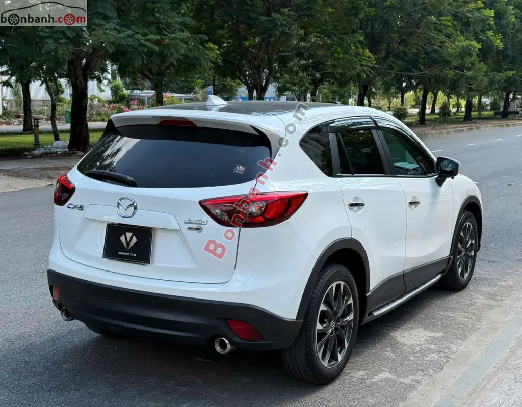 Hình ảnh số 4