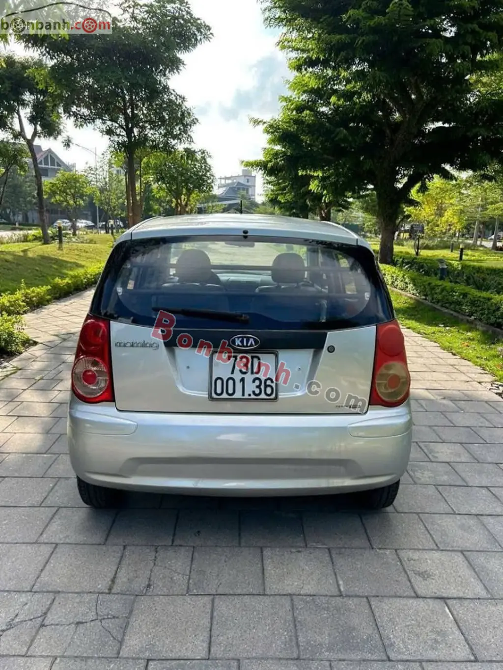 Hình ảnh số 2